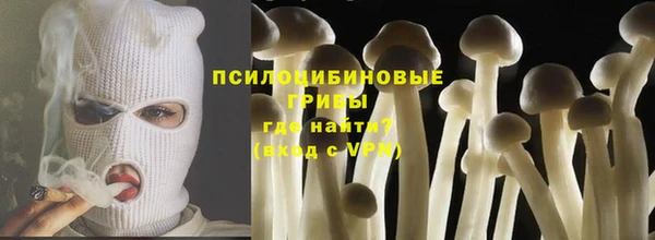 ешки Белоозёрский