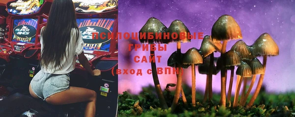 амфетамин Белокуриха