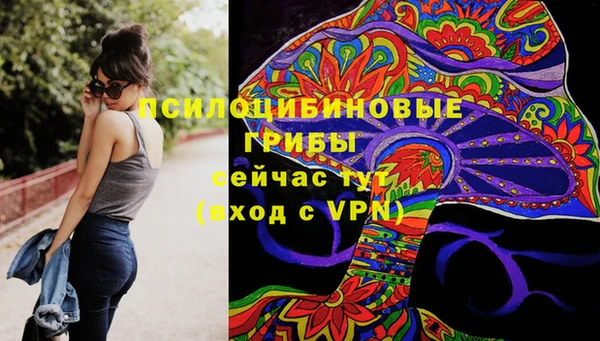 амфетамин Белокуриха