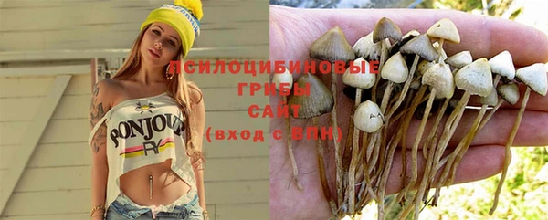 ешки Белоозёрский