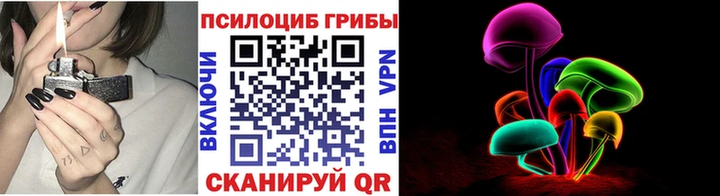 Галлюциногенные грибы Psilocybe  Гулькевичи 
