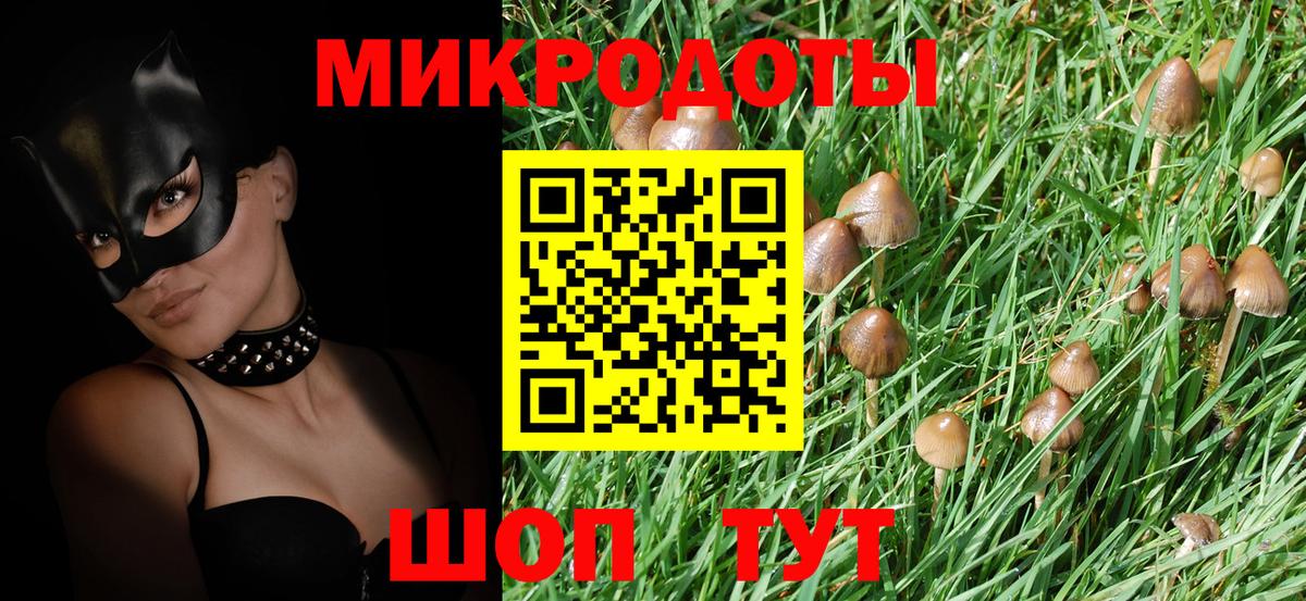 Псилоцибиновые грибы мицелий  Вход с VPN  Гулькевичи 
