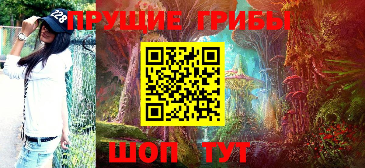 Галлюциногенные грибы GOLDEN TEACHER Гулькевичи